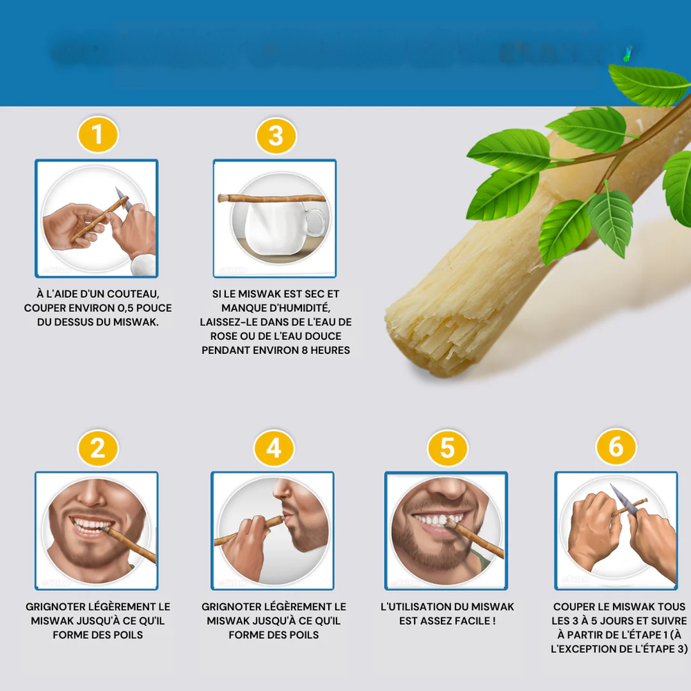 Miswak - 5 different flavors